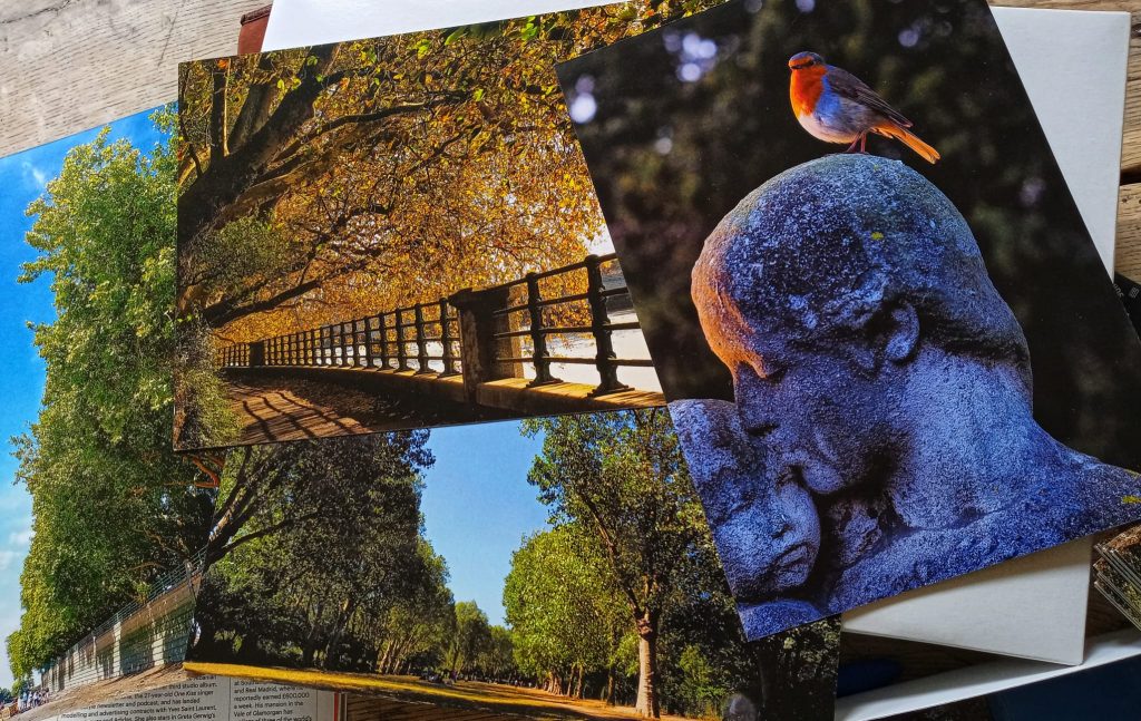 Postcards of Bishop's Park for sale.