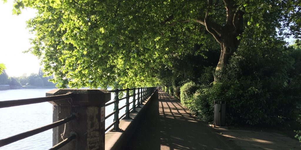 River view in Bishops Park, credit Alex Gee