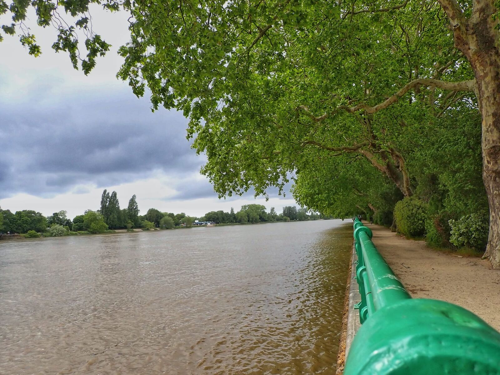 The Thames at the edge of Bishop's Park