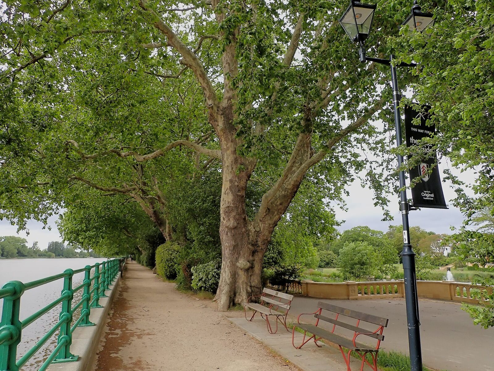 A shaded path between the trees