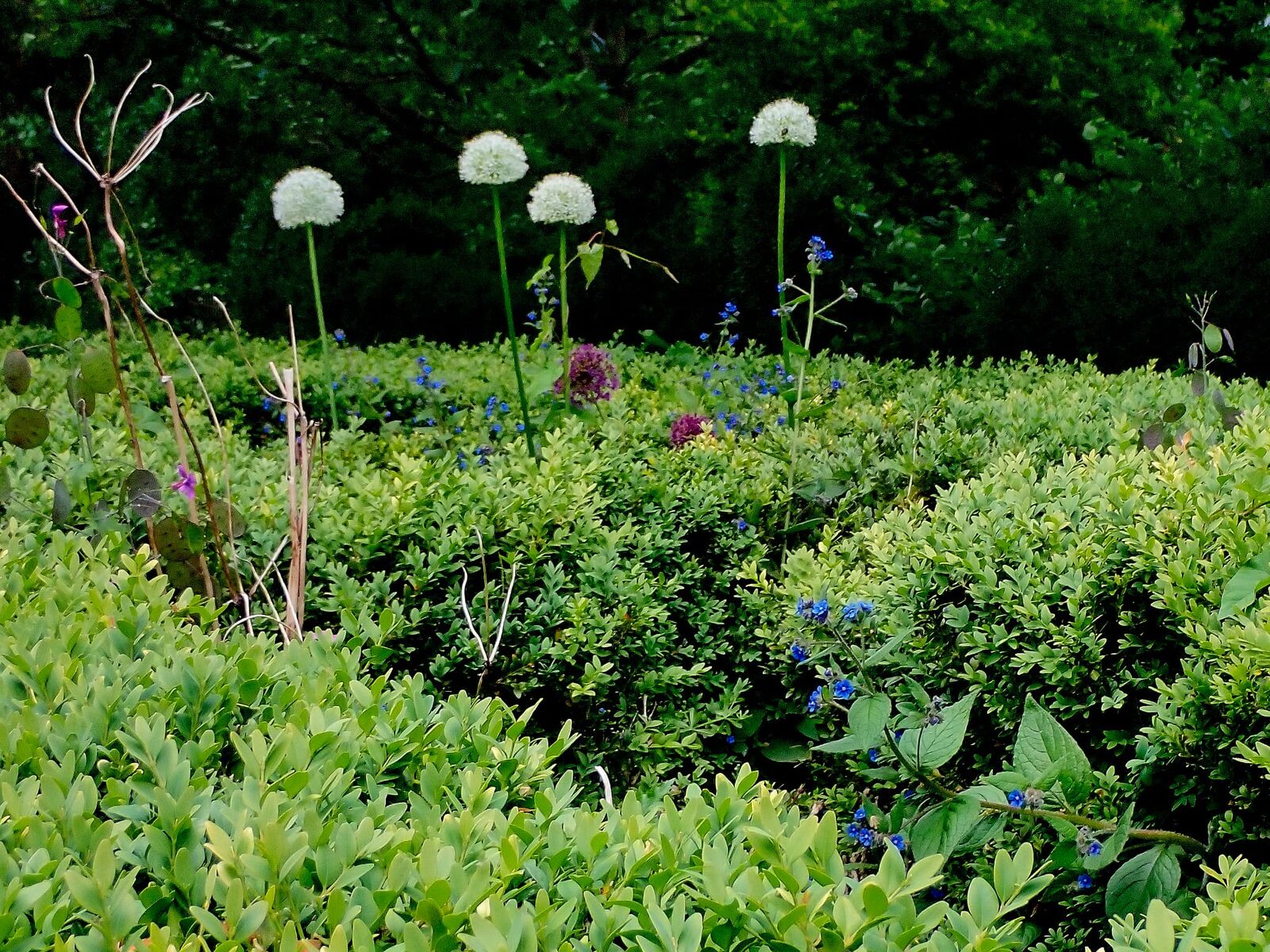 The formal flower beds with their lamp posts