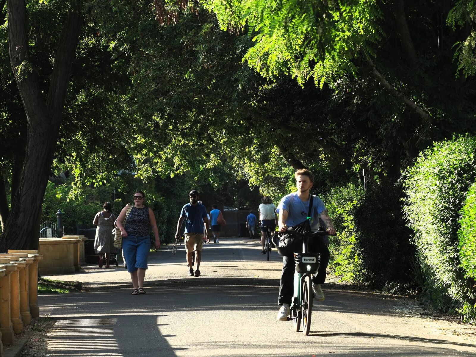 The tree-lined avenue with people walking