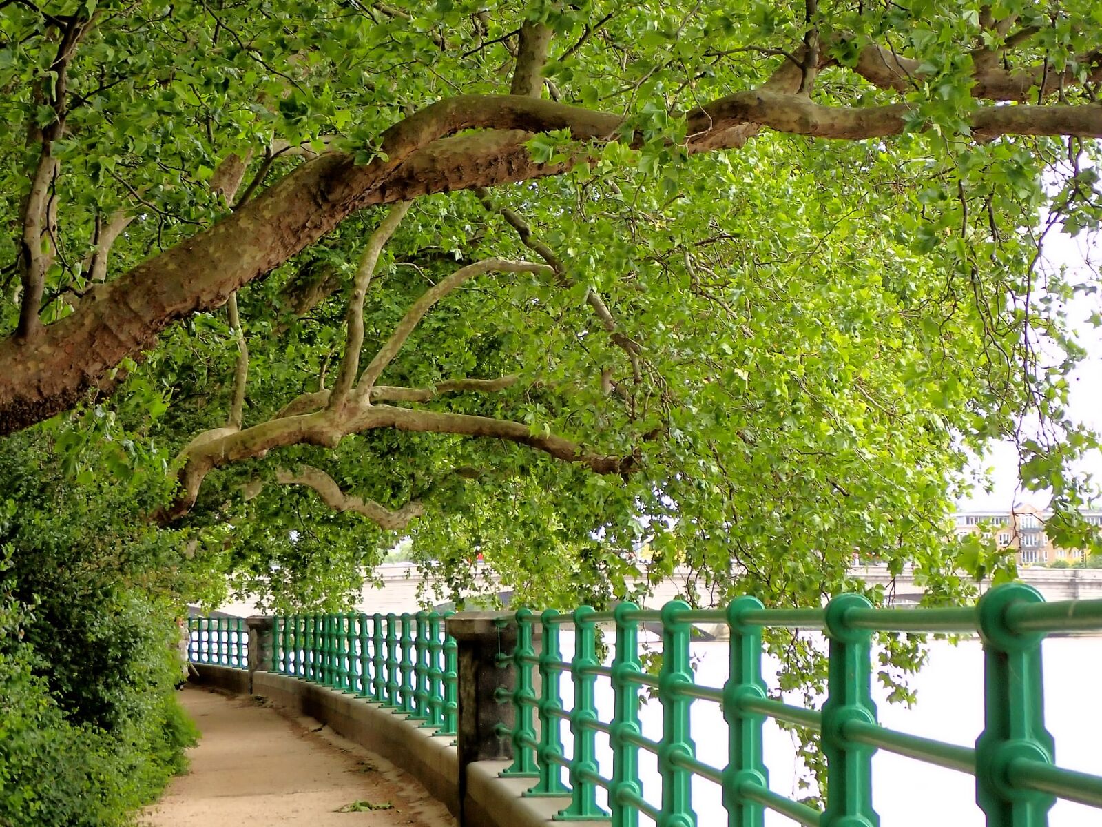 The green ornamental bridge over the lake