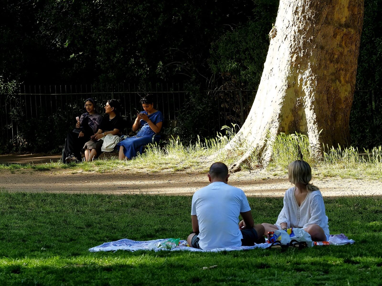 An afternoon on the grass